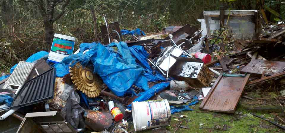 Trash Removal: Dumpster Rental vs. Junk Removal Company